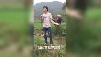 96国产福利视频在线,重温那段激情岁月